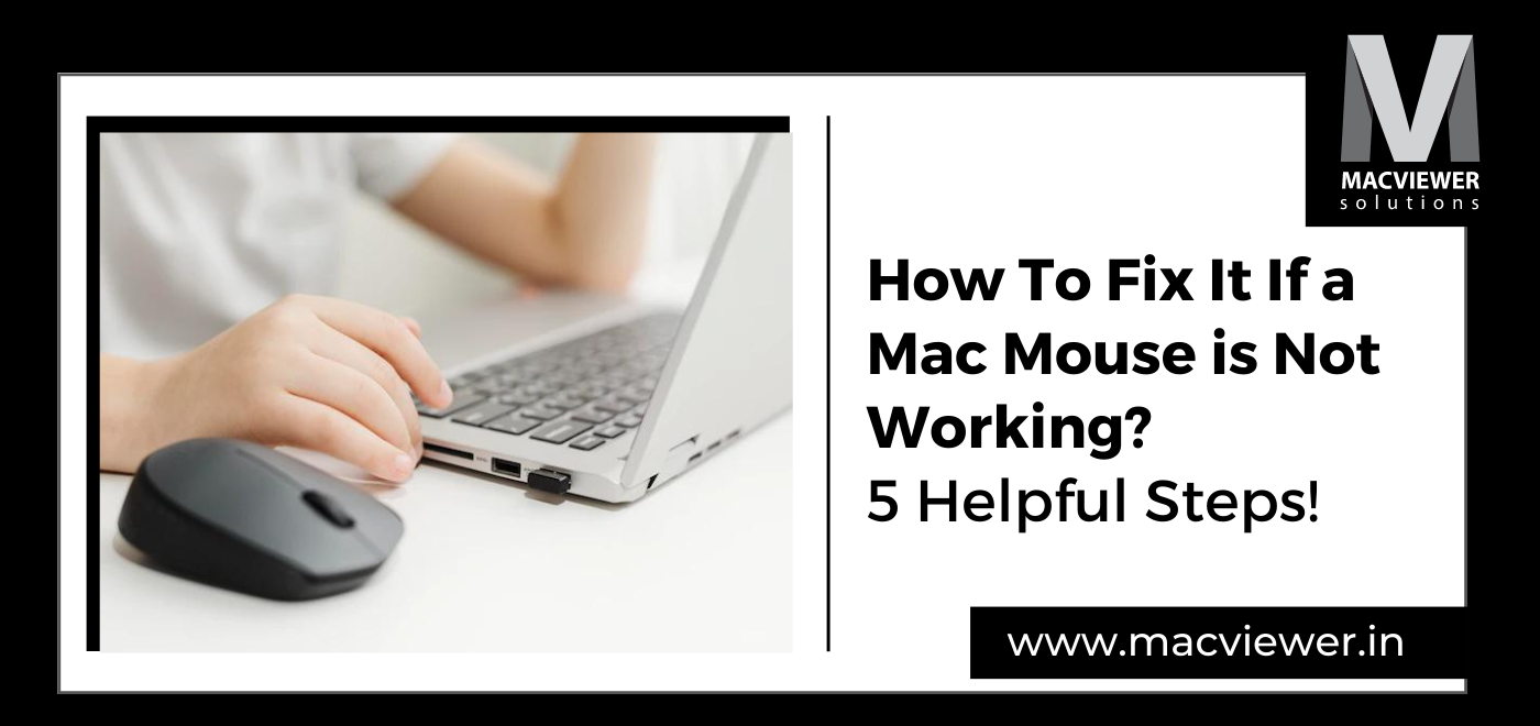 How To Fix It If a Mac Mouse is Not Working? 5 Helpful Steps!